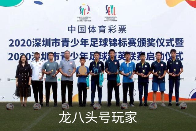 龙八头号玩家公司介绍图片